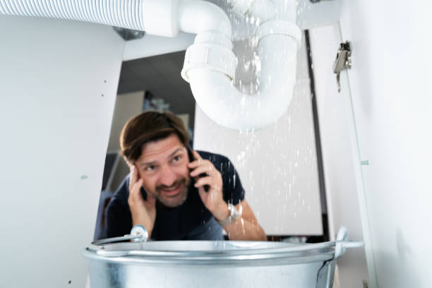Best Residential Plumbing Services  in Piednt, MO