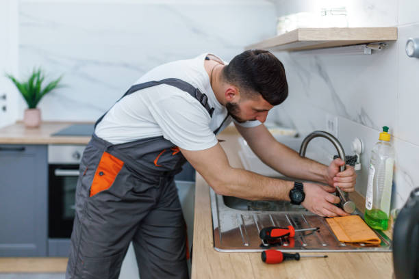 Best Same-Day Plumbing Service  in Piednt, MO