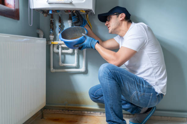 Best Plumbing Services Near Me  in Piednt, MO